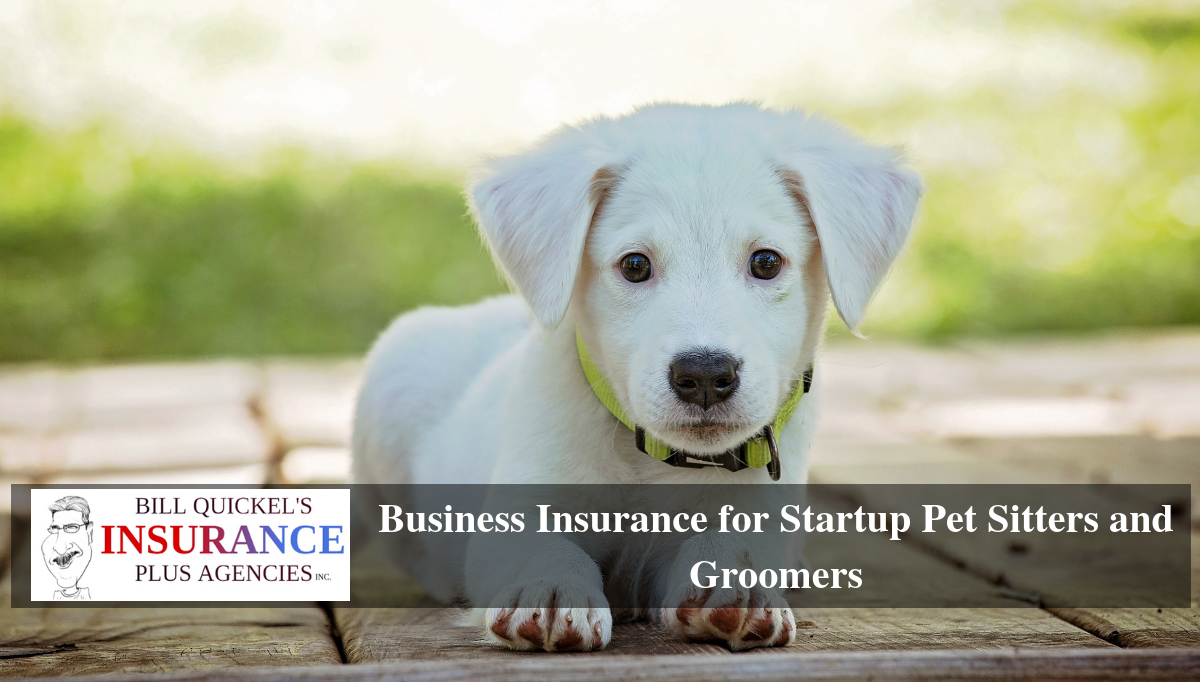 Business Insurance for Startup Pet Sitters and Groomers